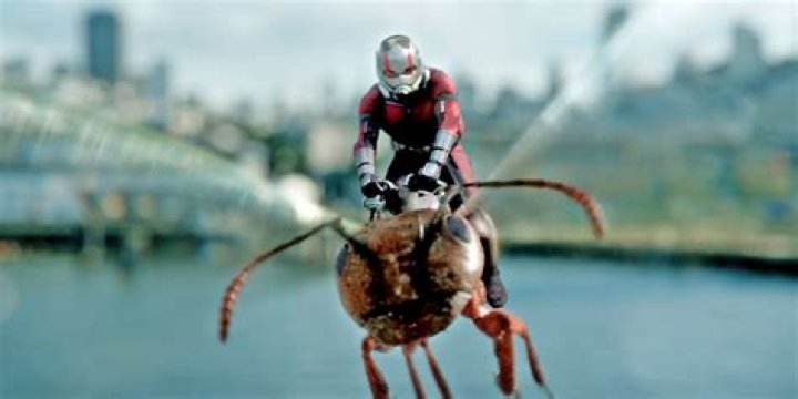 Ant-Man Riding Ant