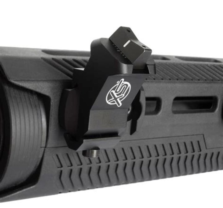 Are Rifle Iron Sights Headed For Extinction? An Official Journal Of