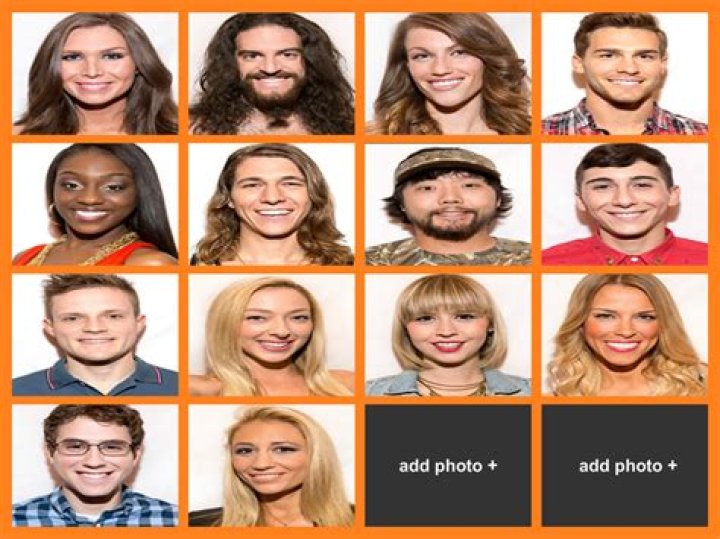 Big Brother 17 cast