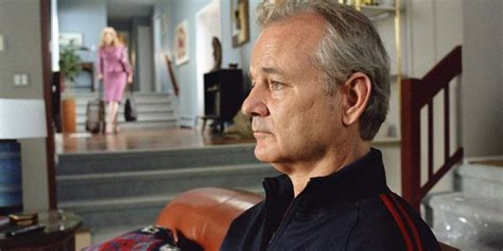 Bill Murray looks on dejectedly in Broken Flowers 
