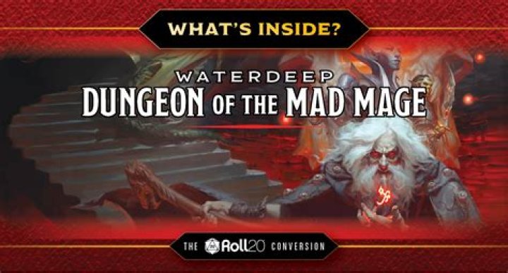 Dungeon of the Mad Mage Cover