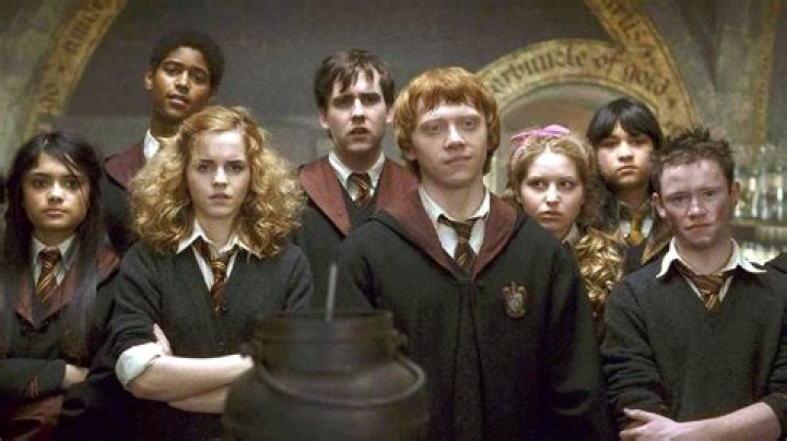 Harry Potter Gryffindors school photo.