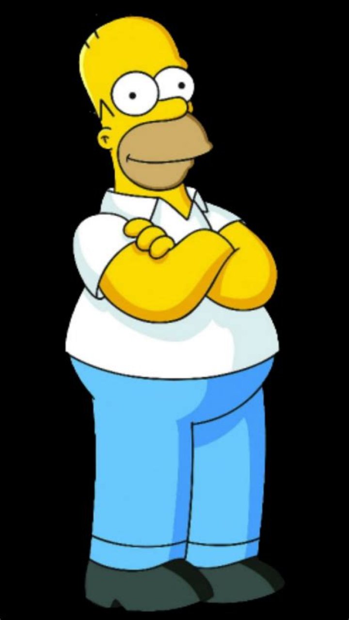 Homer's band Sadgasm in an episode of The Simpsons.