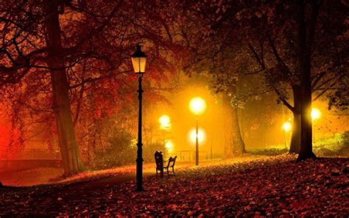 Late autumn evening scene