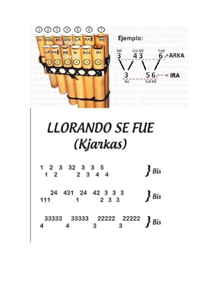 Llorando se fue Zampo&ntilde;a / Notas / Tutorial Acordes Chordify