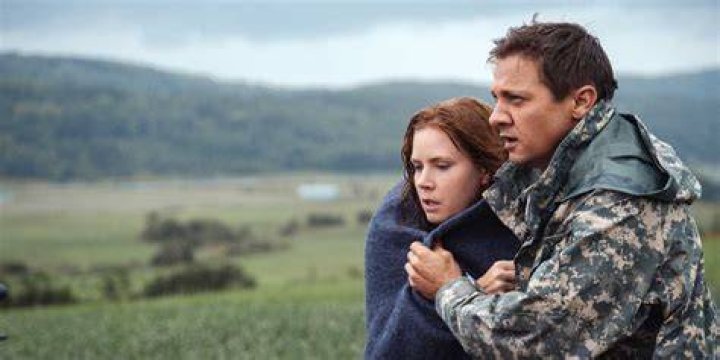  Louise/Amy Adams and Ian/Jeremy Renner holding each other in Arrival 