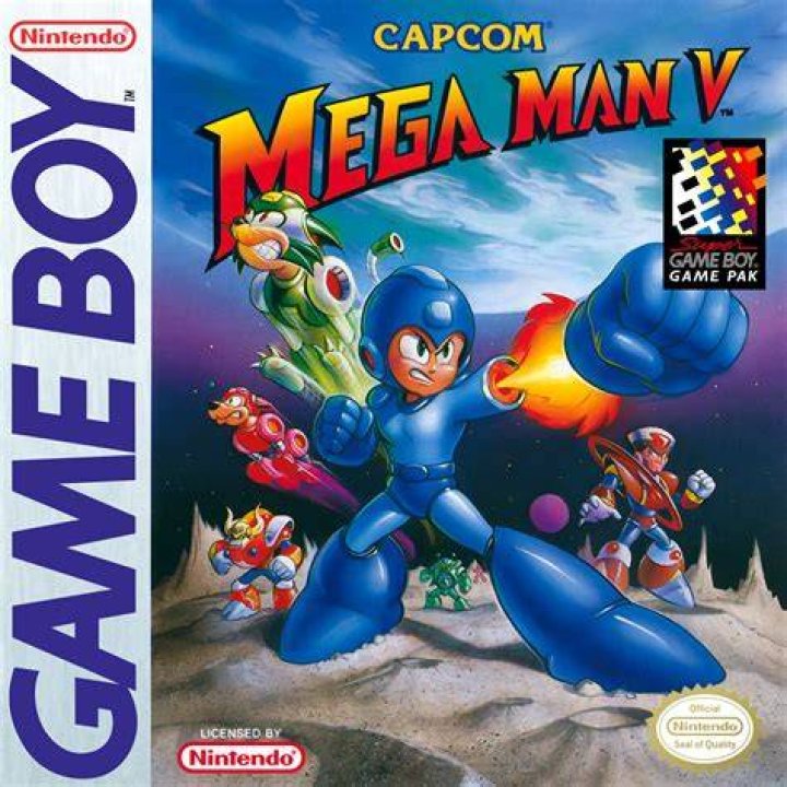 Mega Man game