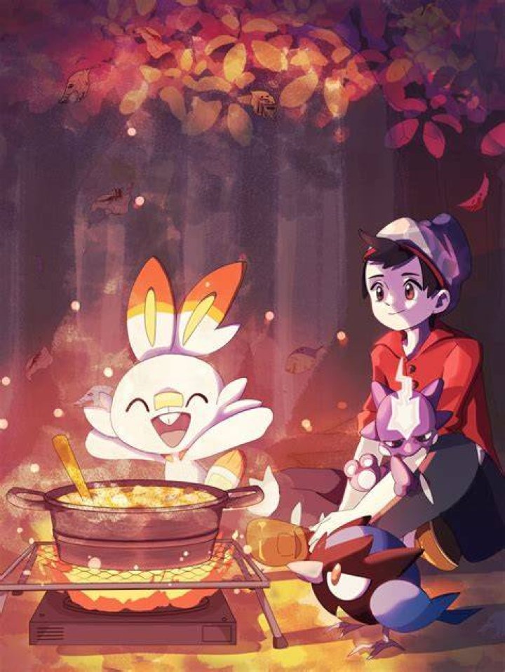 Milo, Scorbunny, and Rookidee in Pokemon: Sword & Shield.