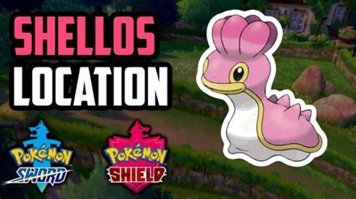 Pokemon Sword and Shield Shellos and Gastrodon