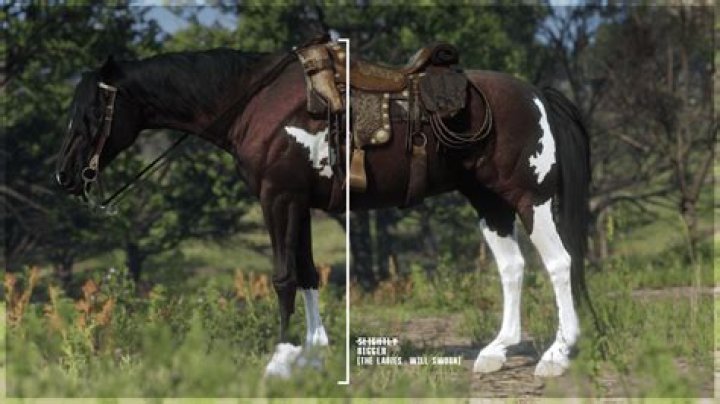 Red Dead Redemption 2 Tennessee Walker Horse