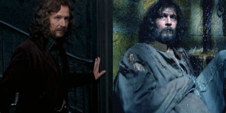 Sirius Black and Harry Potter