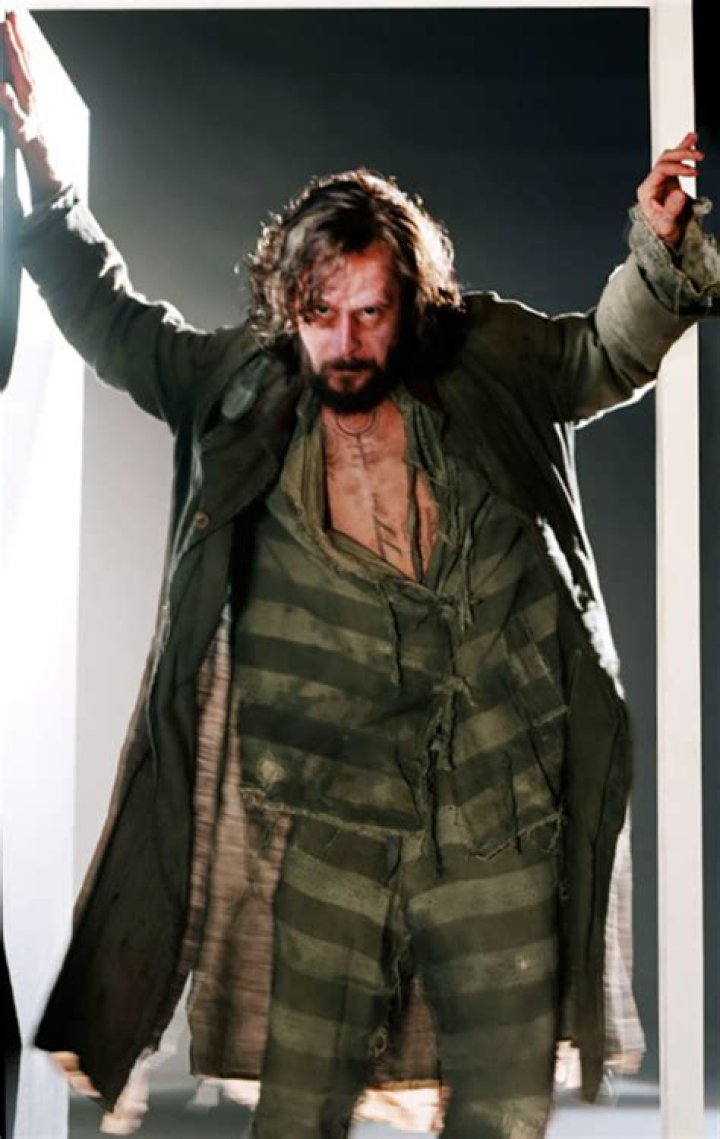 Sirius Black in the Shrieking Shack Harry Potter and the Prisoner of Azkaban