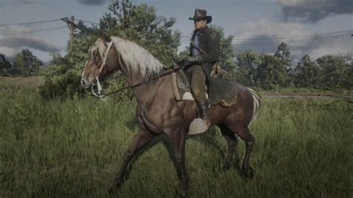 Thee Hungarian Half Bred Horses in Red Dead Redepemtion 2.