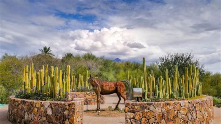 Tohono Chul Park in Tucson, Arizona Expedia
