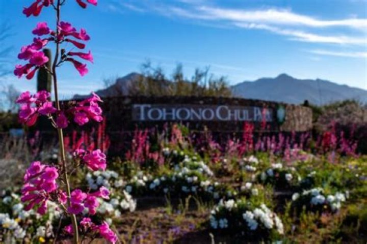 Tohono Chul Tucson Attractions
