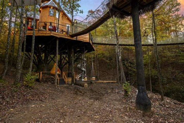 Treetopia Treehouse OkieDokey Cabins